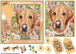 Peach floral Labrador card front 7