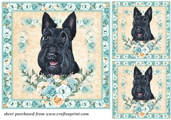 3 Blue and orange rose cute dog card front/toppers 1