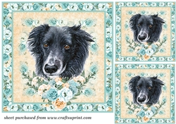 3 Blue and orange rose cute dog card front/toppers 7