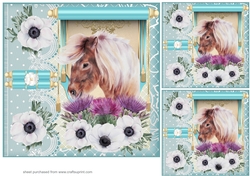 3 Turquoise floral Highland pony card front/toppers