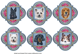 6 Floral assorted dog toppers 1