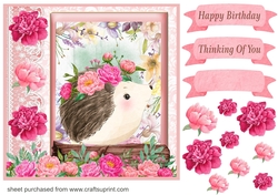 Pink floral hedgehog card front