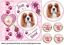 Pink Love is a four legged word card front 11