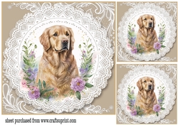 3 Beige floral dog card front/toppers 1