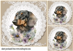 3 Beige floral dog card front/toppers 3
