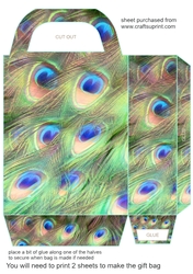 All about the peacock gift bag 7