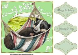 Badger on hammock card front
