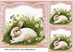 3 The sleepy rabbit card fronts/toppers