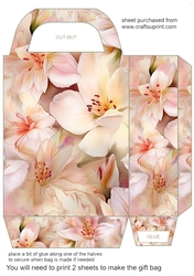 Soft floral gift bag 12