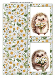 2 Daisy hedgehog notelets 1(with room for sentiment)