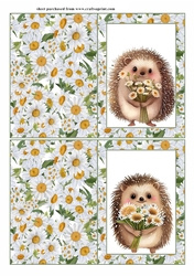 2 Daisy hedgehog notelets (with room for sentiment) 2
