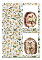 2 Daisy hedgehog notelets (with room for sentiment) 3