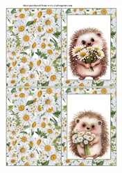 2 Daisy hedgehog notelets (with room for sentiment) 4