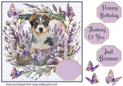 Pup in lavender card front 6