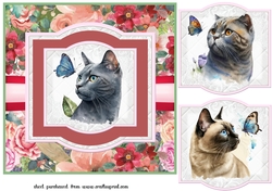 Cat with butterfly card front 4