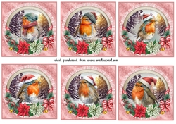 6 Christmas robin toppers