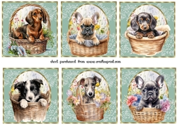 6 Floral pup toppers 2
