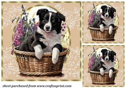 3 Floral pup in basket card front/toppers 2