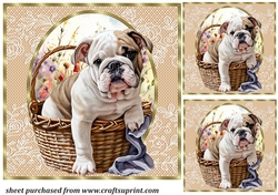 3 Floral pup in basket card front/toppers 5