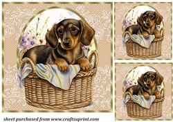 3 Floral pup in basket card front/toppers 6