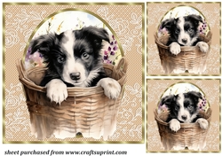 3 Floral pup in basket card front/toppers 10