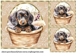 3 Floral pup in basket card front/toppers 11