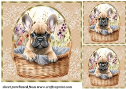 3 Floral pup in basket card front/toppers 12