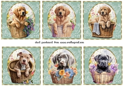 6 Floral pup in basket toppers 5
