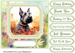 Floral Scottish Terrier card front 2