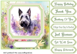 Floral Scottish Terrier card front 8