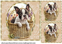 3 Floral pup in basket card front/toppers 14