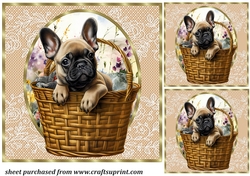 3 Floral pup in basket card front/toppers 16
