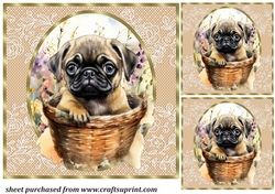 3 Floral pup in basket card front/toppers 17