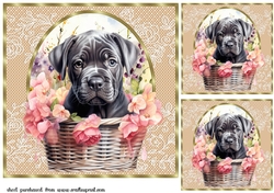 3 Floral pup in basket card front/toppers 22