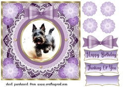 Purple framed Scottish terrier card front 6