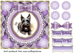 Purple framed Scottish terrier card front 8