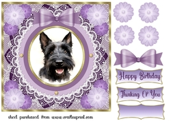 Purple framed Scottish terrier card front 9