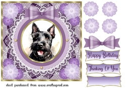 Purple framed Scottish terrier card front 12