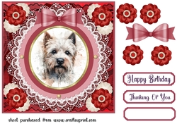 Red Westie card front 5