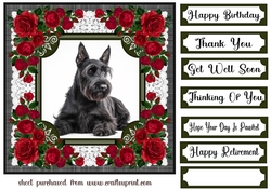 Lace and red roses Scottish terrier card front 1
