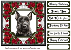 Lace and red roses Scottish terrier card front 5