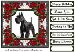 Lace and red roses Scottish terrier card front 8