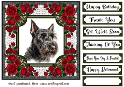 Lace and red roses Scottish terrier card front 11
