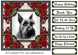 Lace and red roses Scottish terrier card front 12