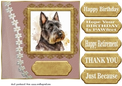 Framed Scottish terrier card front 3