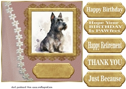 Framed Scottish terrier card front 7