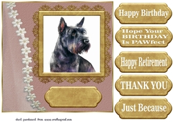 Framed Scottish terrier card front 9