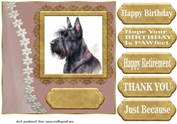 Framed Scottish terrier card front 10