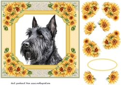 Sunflower Scottish terrier card front 2