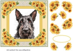 Sunflower Scottish terrier card front 3